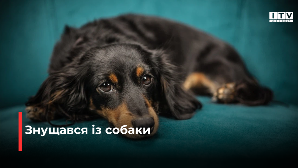 Фото ілюстративне