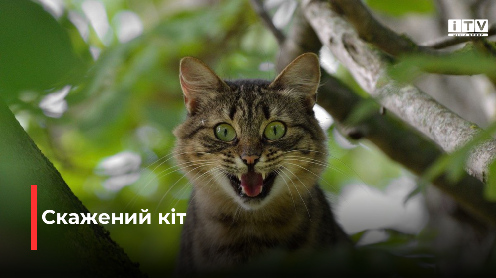 Фото ілюстративне