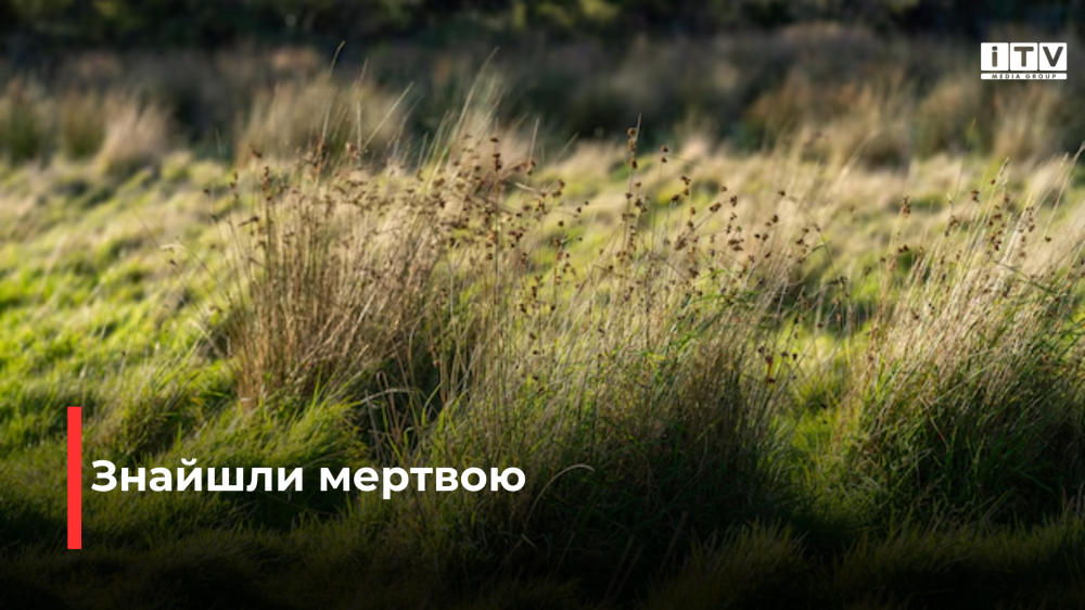 Фото ілюстративне