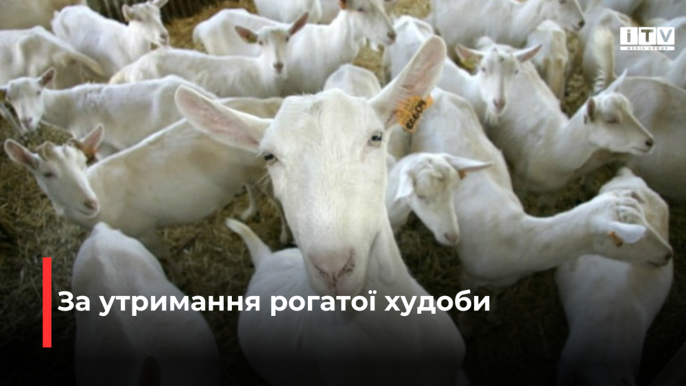 Фото ілюстративне