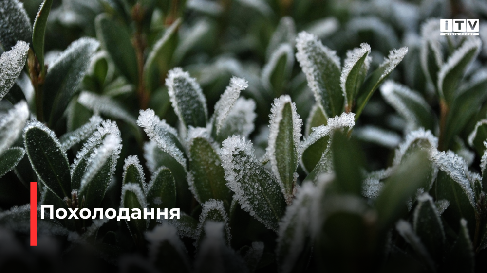 Фото ілюстративне