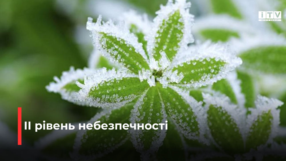 фото ілюстративне 