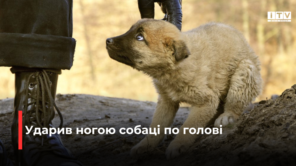 Фото ілюстративне