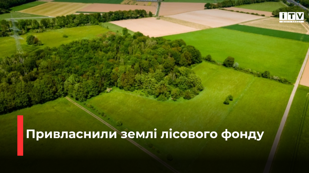 Фото ілюстративне