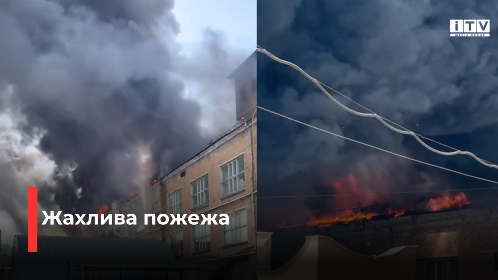 скріншот з відео