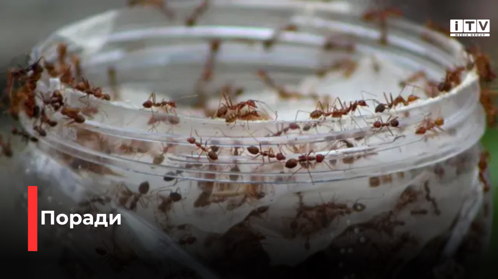 Фото ілюстративне