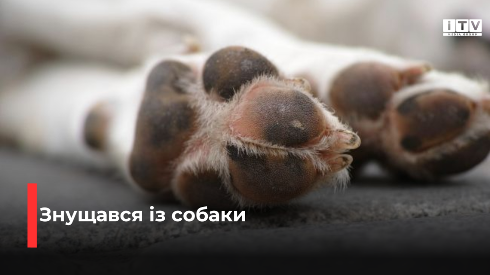 фото ілюстративне 