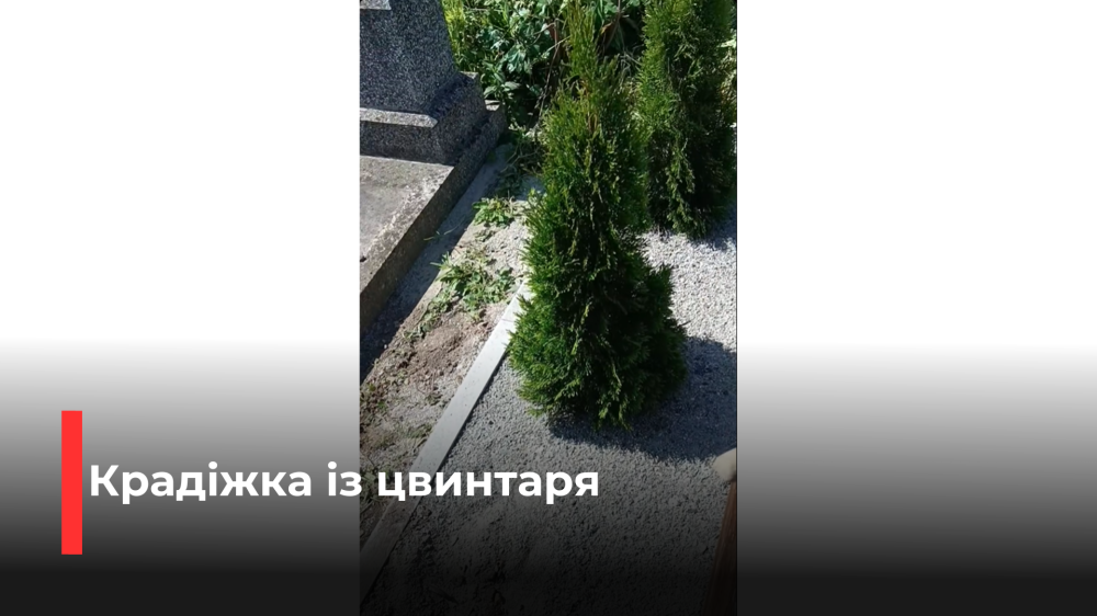 скріншот з відео