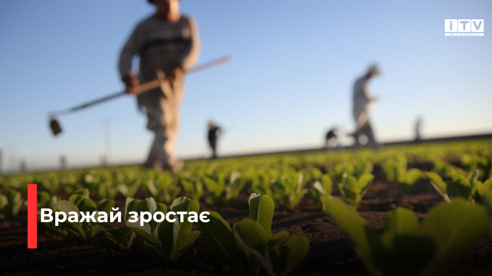 Фото ілюстративне Фото ілюстративне