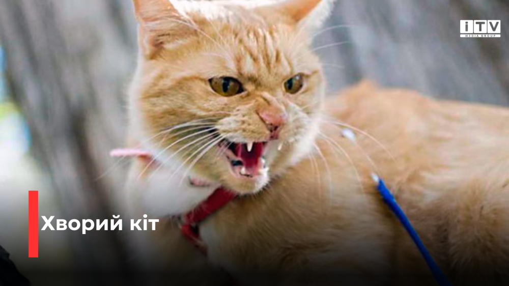 Фото ілюстративне