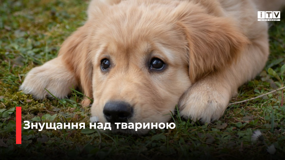 Фото ілюстративне