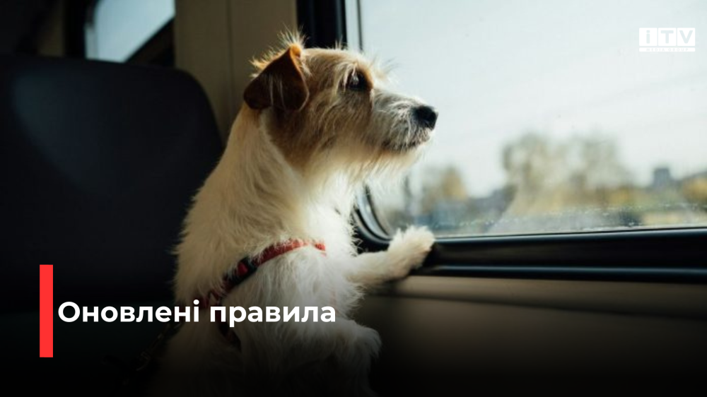 Фото ілюстративне 