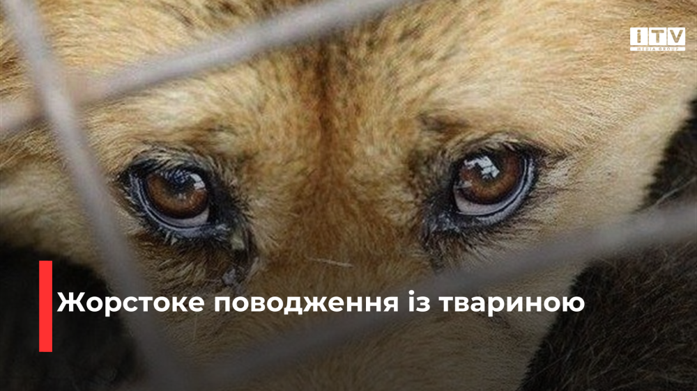 Фото ілюстративне 