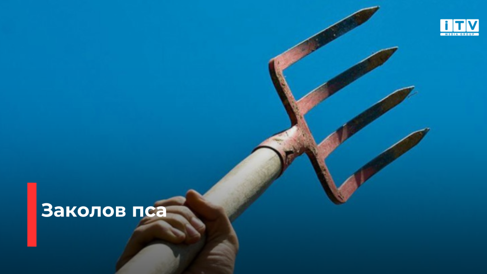 Фото ілюстративне 