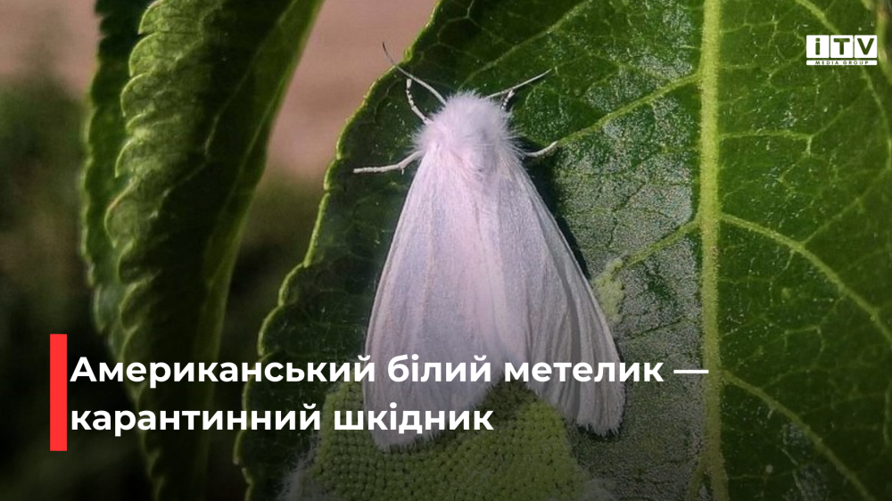 Фото ілюстративне