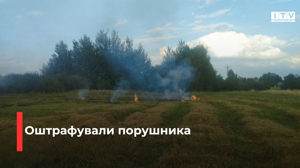 Фото ілюстративне 
