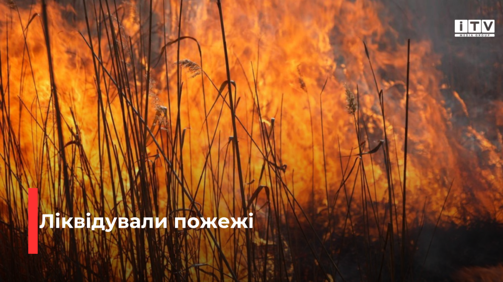 Фото ілюстративне 