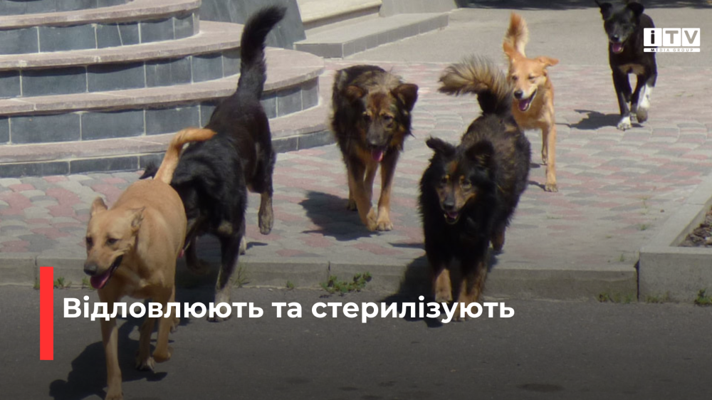 Фото ілюстративне 