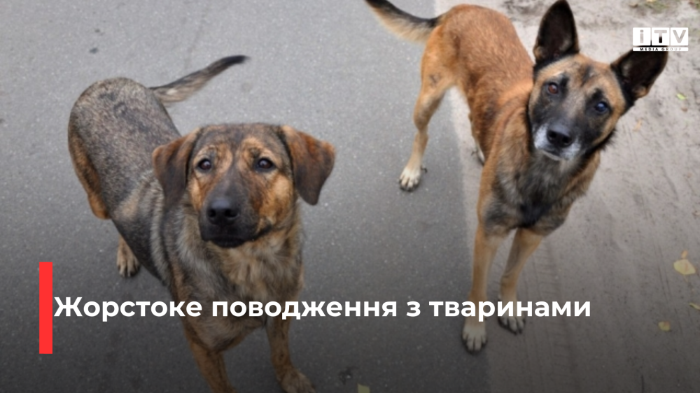 Фото ілюстративне