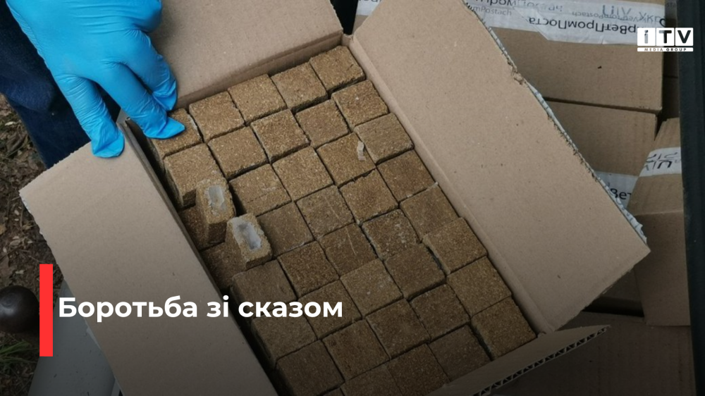 Фото ілюстративне 