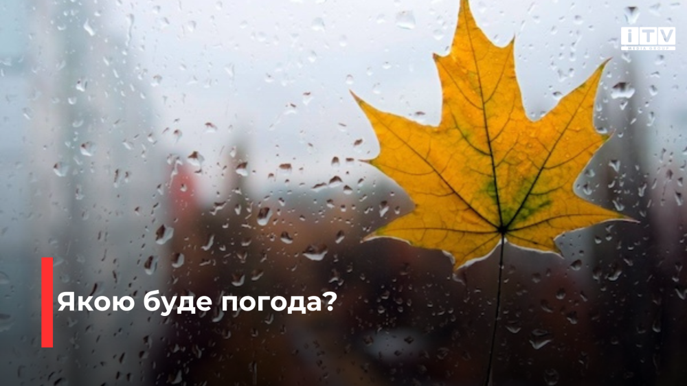 Фото ілюстративне Фото ілюстративне