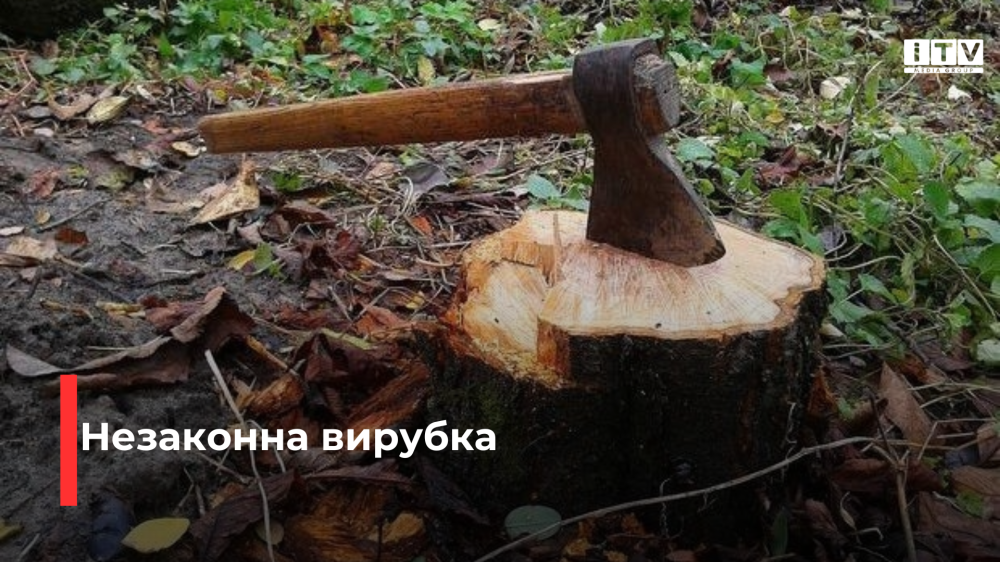 Фото ілюстративне 