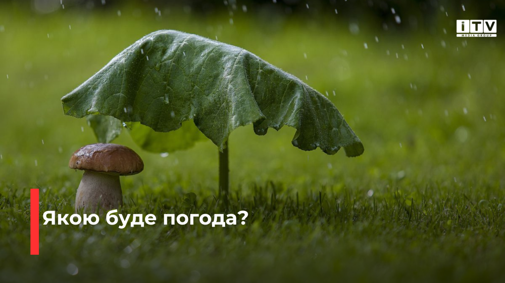 Фото ілюстративне Фото ілюстративне