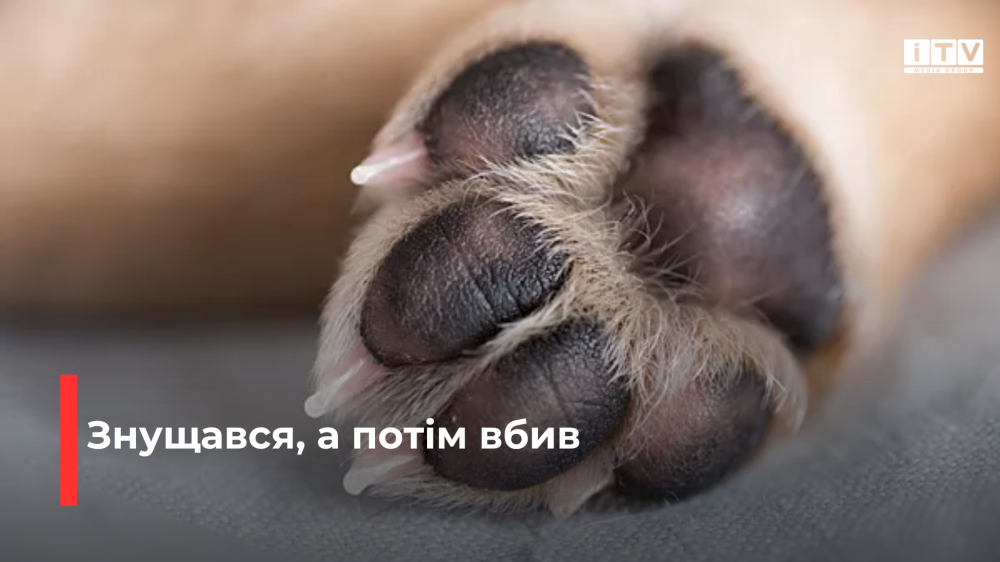 Фото ілюстративне 