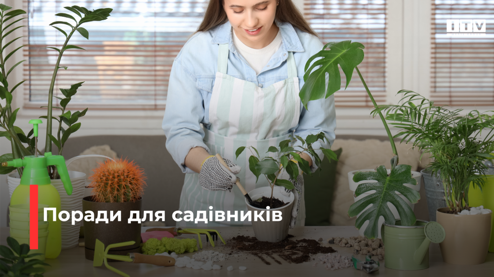 Фото ілюстративне 