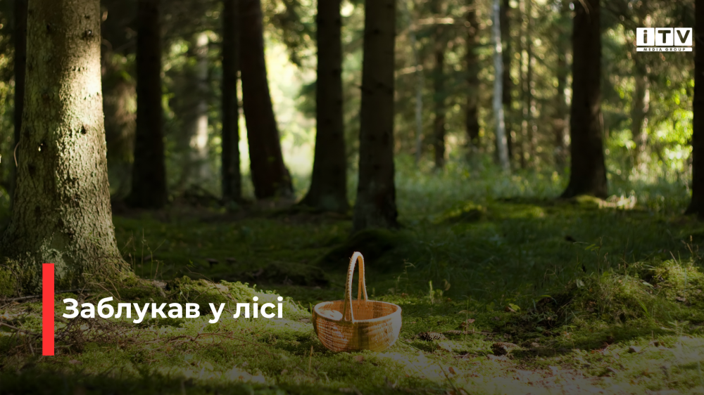 Фото ілюстративне 