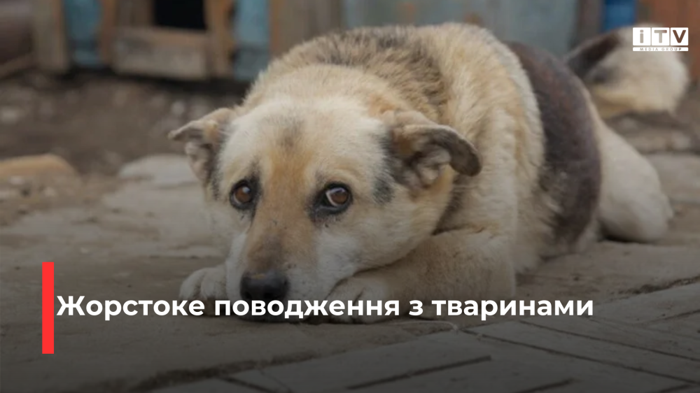 Фото ілюстративне