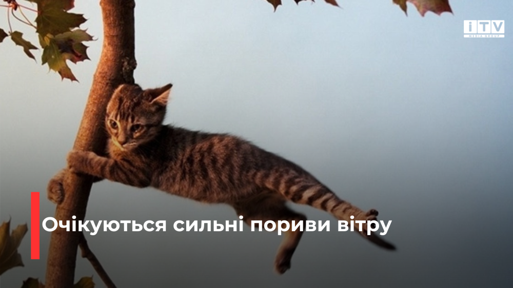 Фото ілюстративне