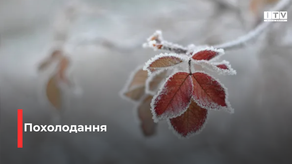 Фото ілюстративне 