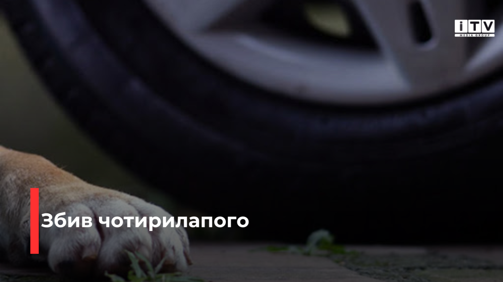 Фото ілюстративне 