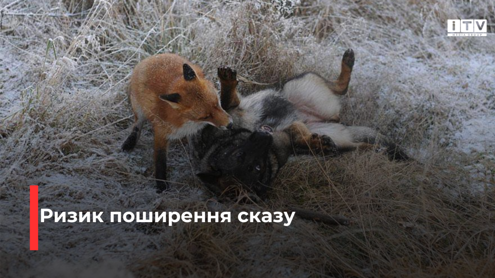 Фото ілюстративне