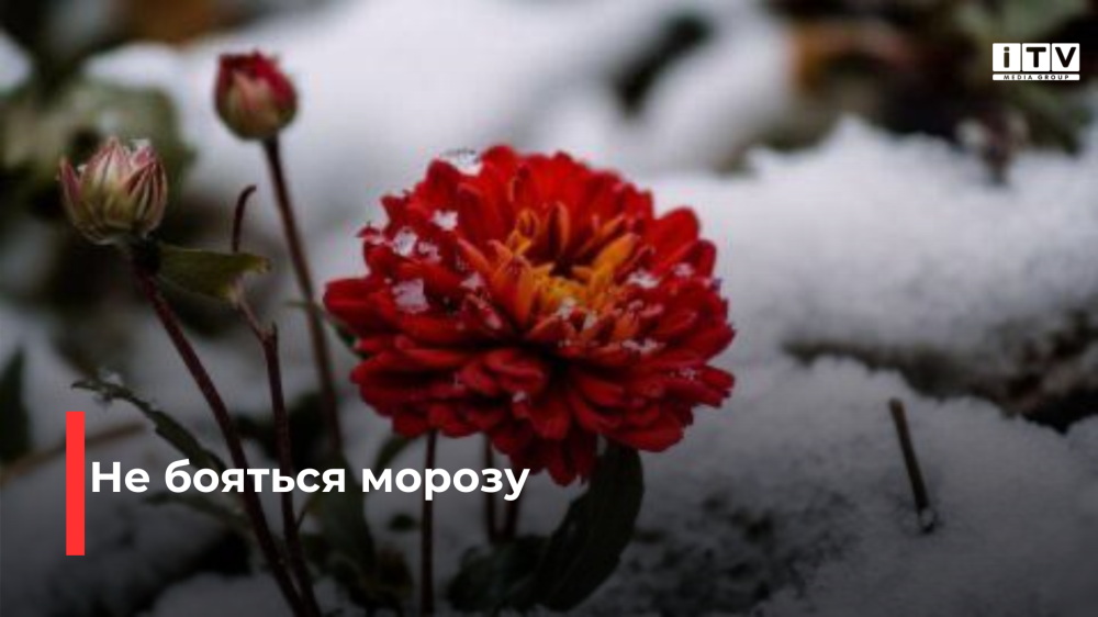 Фото ілюстративне