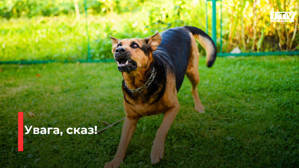 Фото ілюстративне 