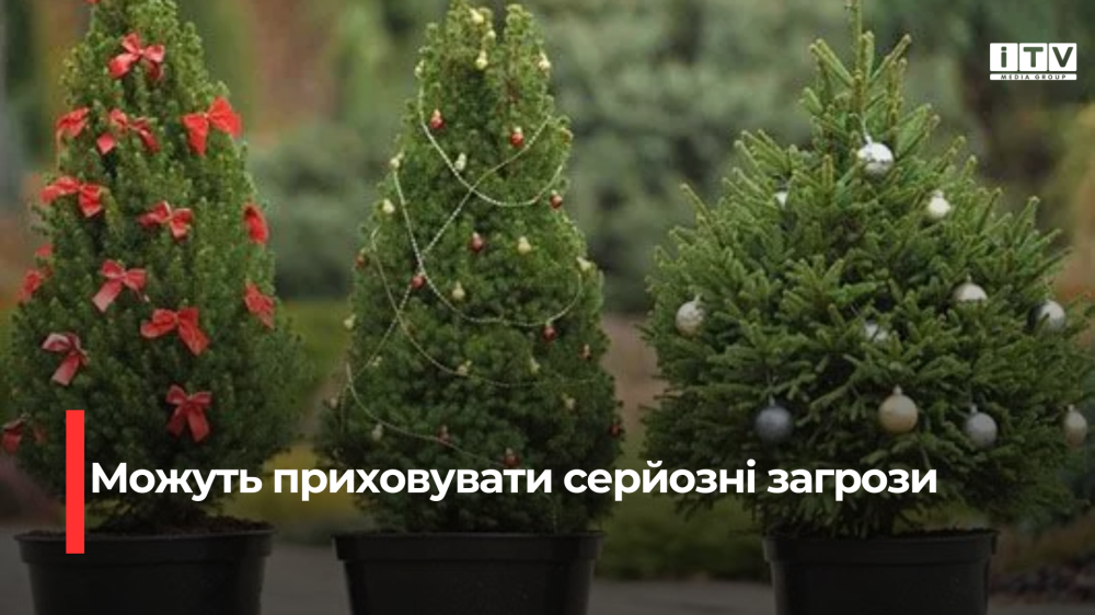 Фото ілюстративне 