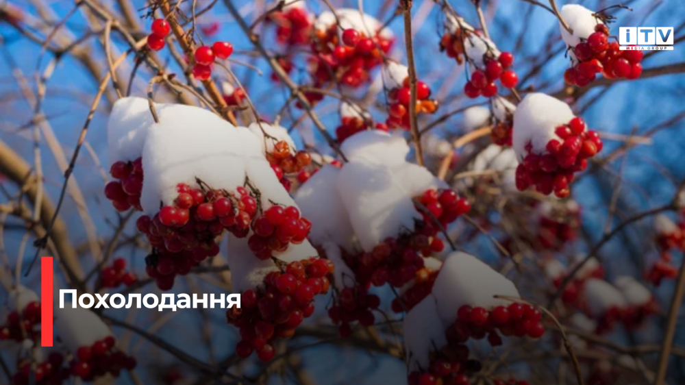 Фото ілюстративне 