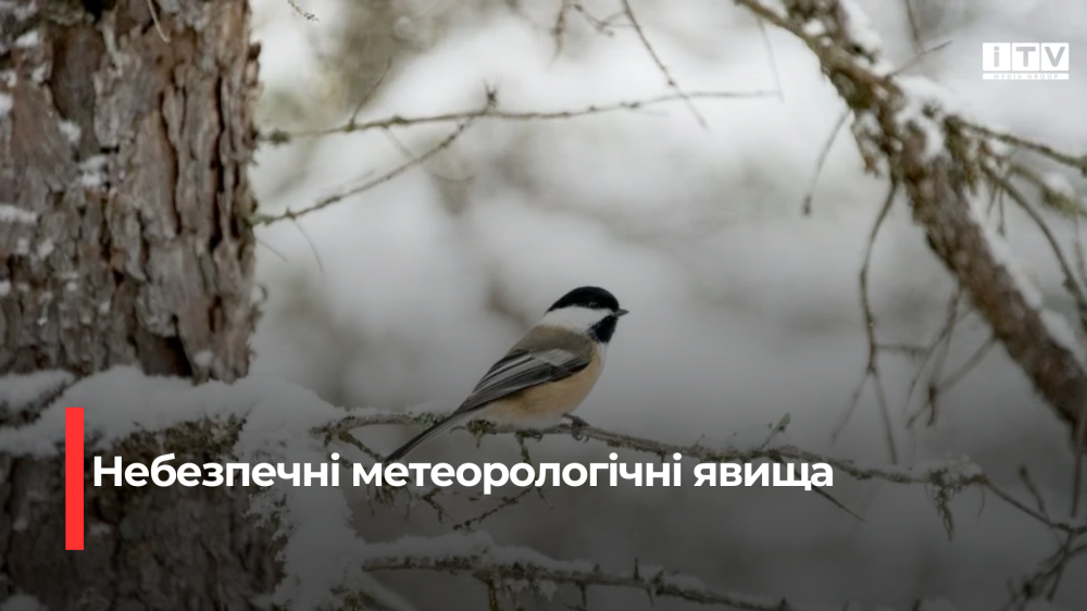 Фото ілюстративне