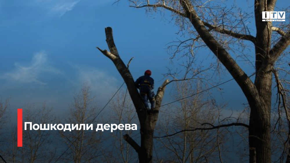 Фото ілюстративне 