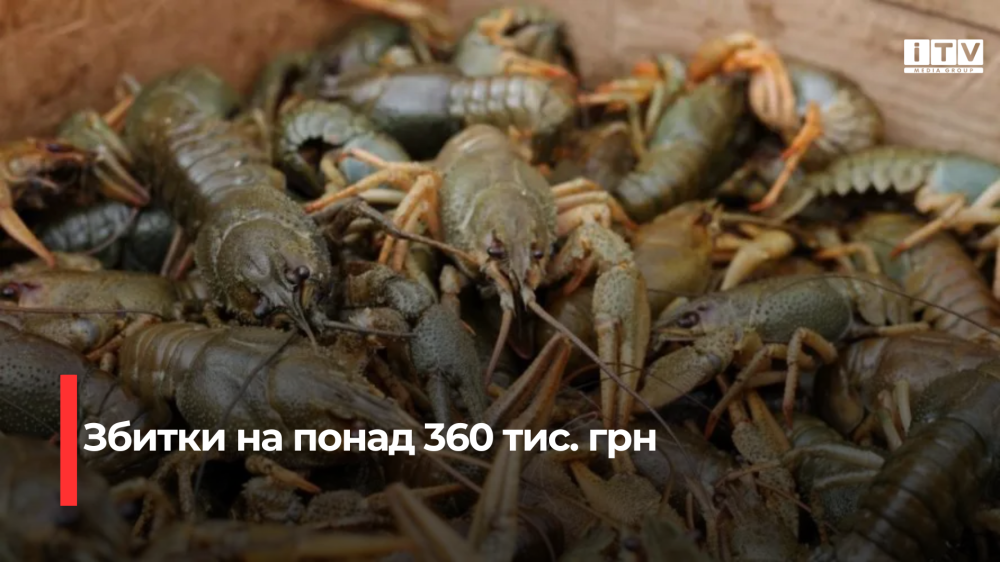 Фото ілюстративне 