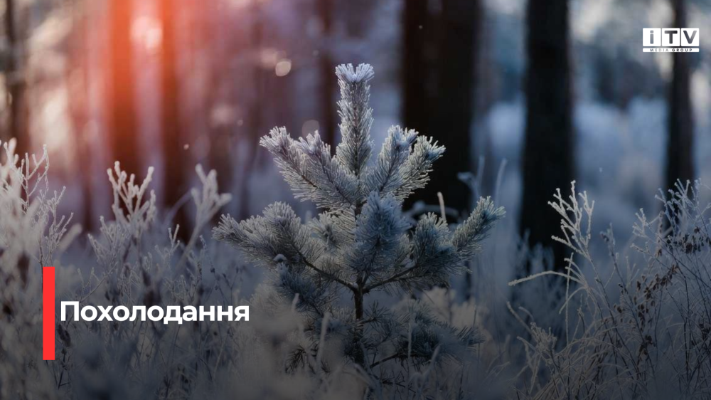 Фото ілюстративне 