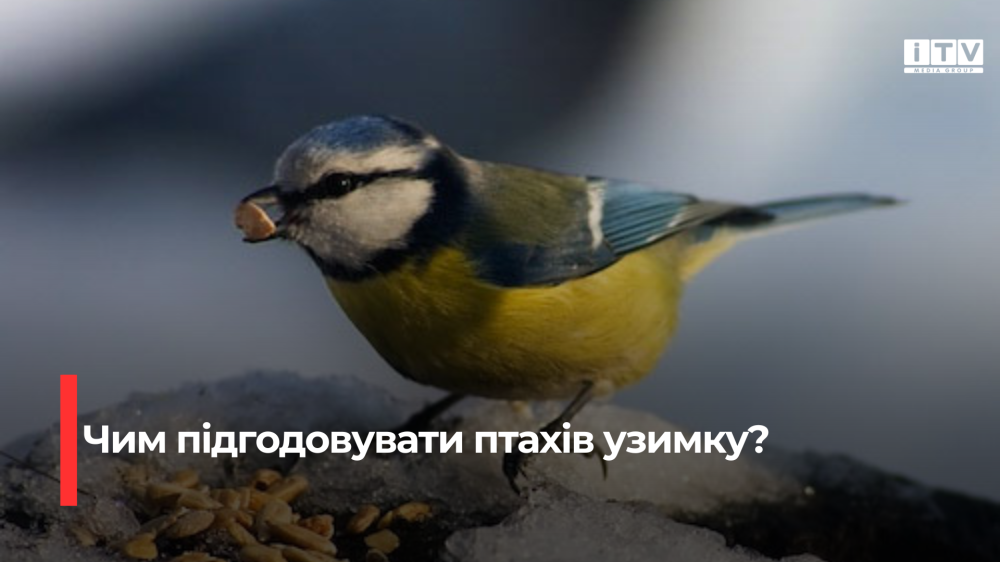 Фото ілюстративне