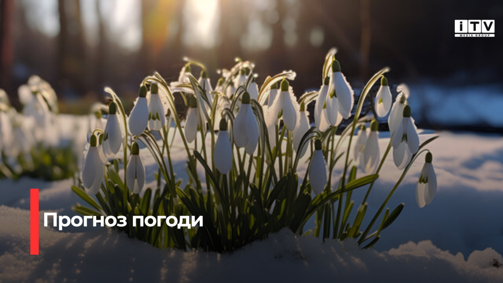 Фото ілюстративне 