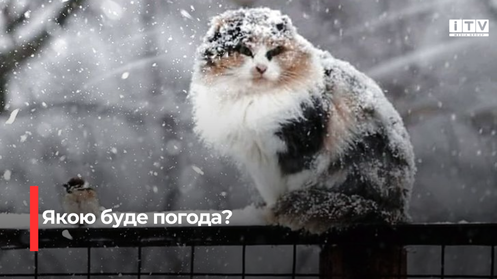 Фото ілюстративне 