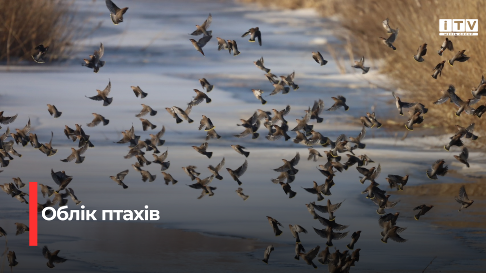 Фото: Володимира Зубковича