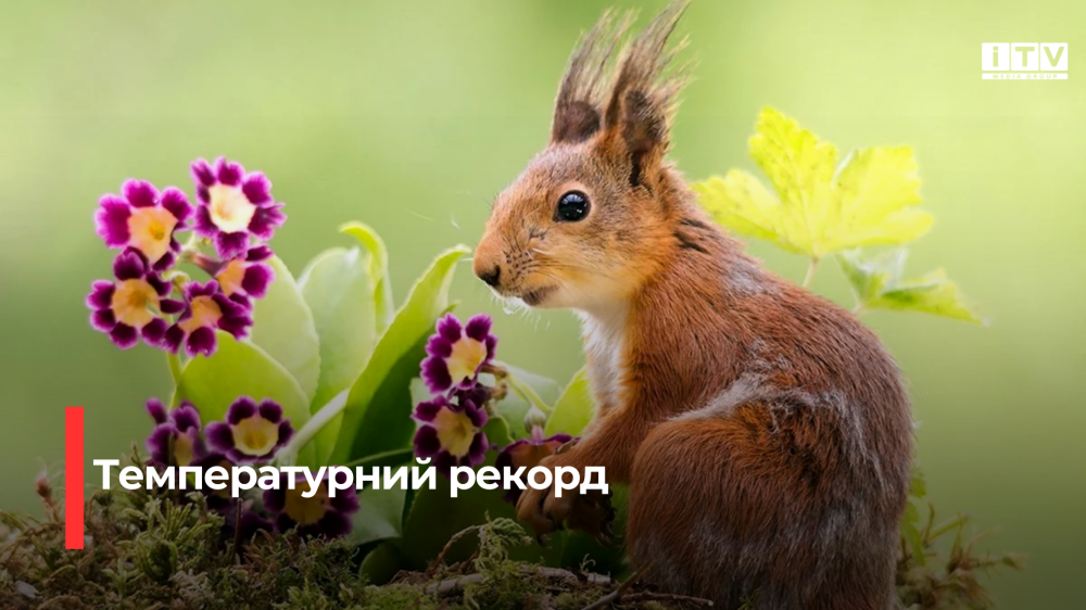 Фото ілюстративне 