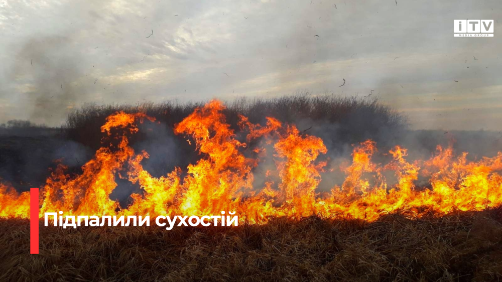 Фото ілюстративне 