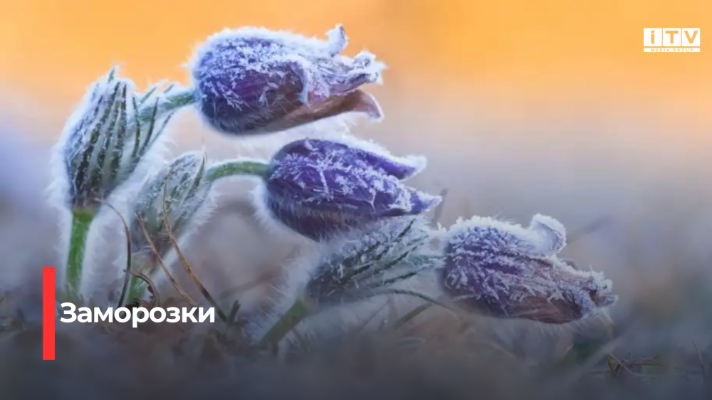 Фото ілюстративне